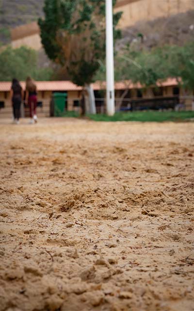 Pista geotextil (ES)